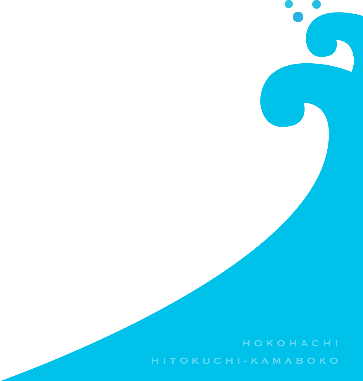 HOKOHACHI HITOKUCHI-KAMABOKO